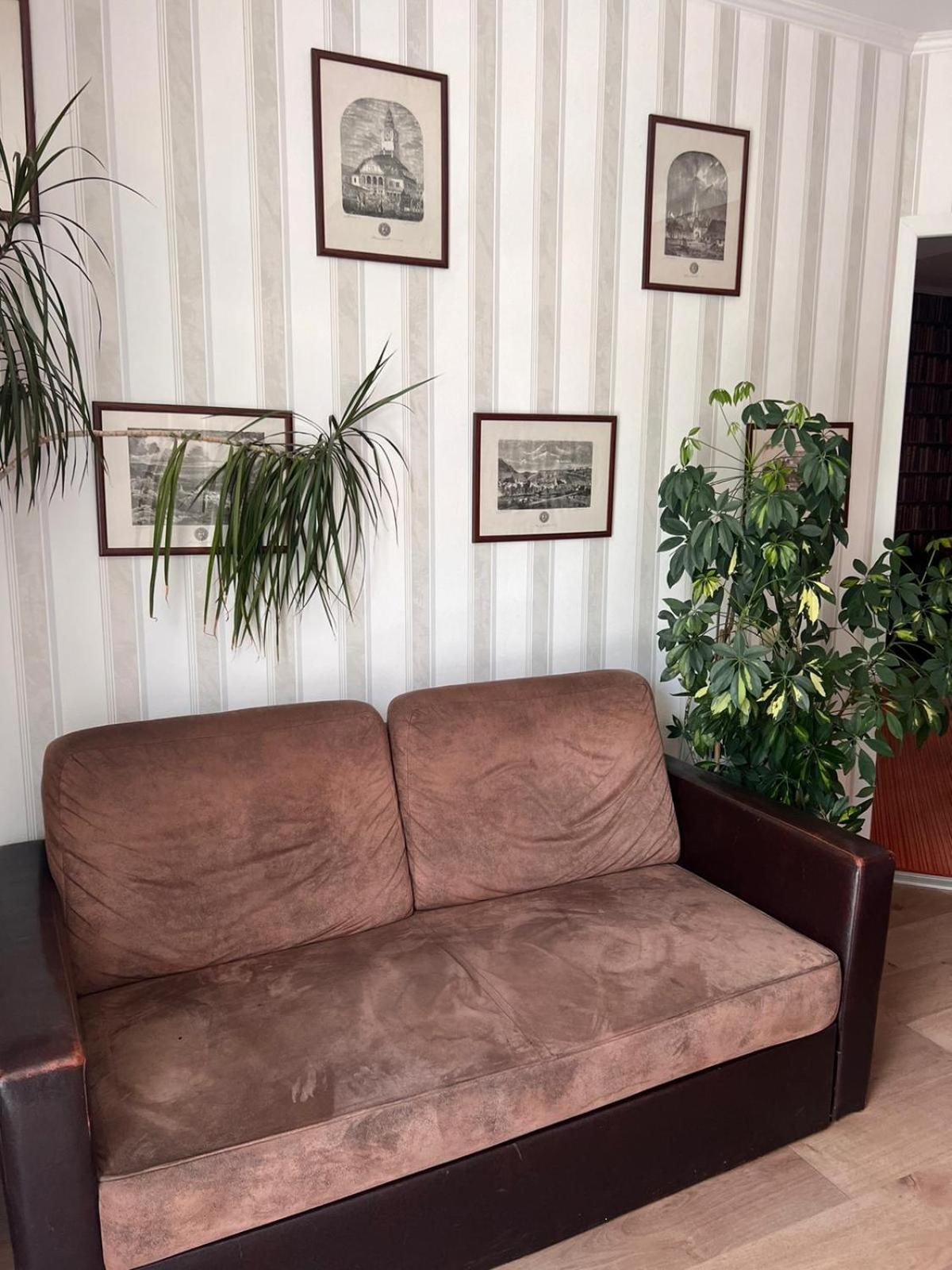 Pension Old City Braşov Extérieur photo