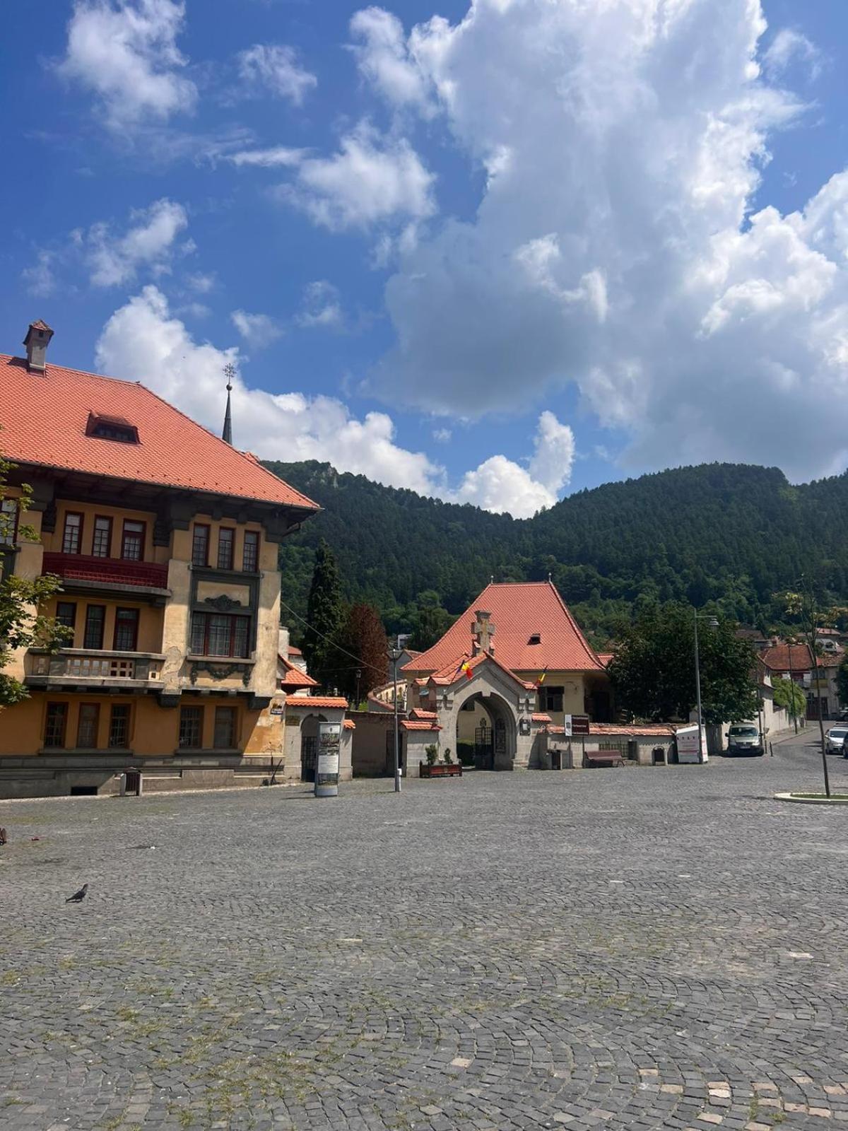 Pension Old City Braşov Extérieur photo